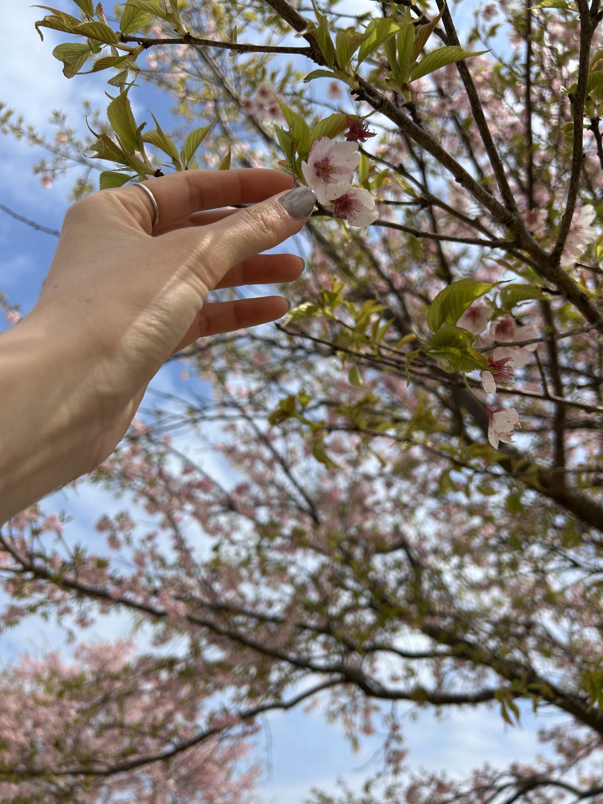 4月🌸【営業時間の変更とGWの予約】